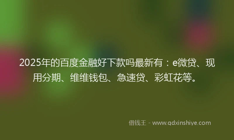 2025年的百度金融好下款吗最新有：e微贷、现用分期、维维钱包、急速贷、彩虹花等。