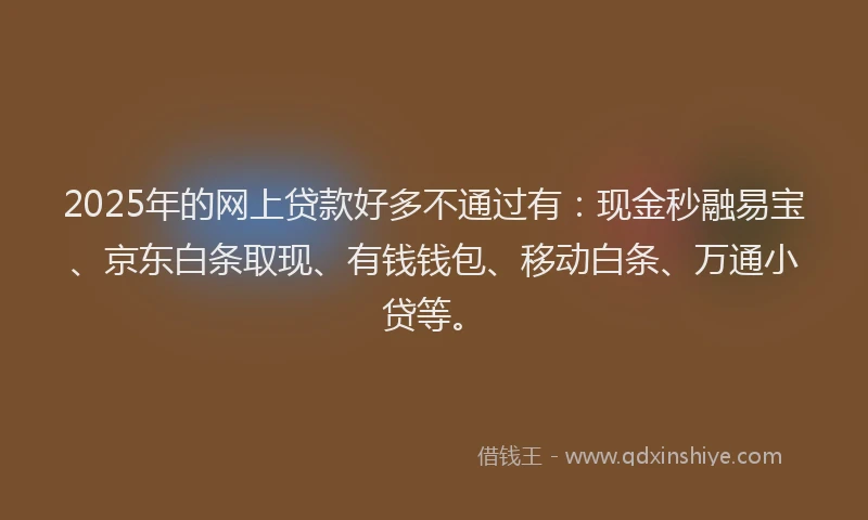 2025年的网上贷款好多不通过有：现金秒融易宝、京东白条取现、有钱钱包、移动白条、万通小贷等。