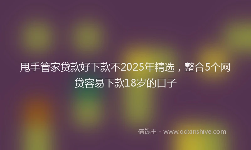甩手管家贷款好下款不2025年精选，整合5个网贷容易下款18岁的口子