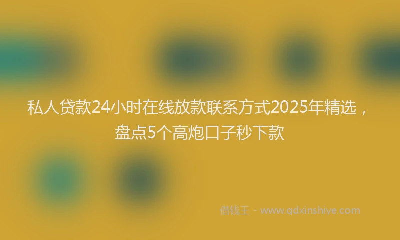 私人贷款24小时在线放款联系方式2025年精选，盘点5个高炮口子秒下款