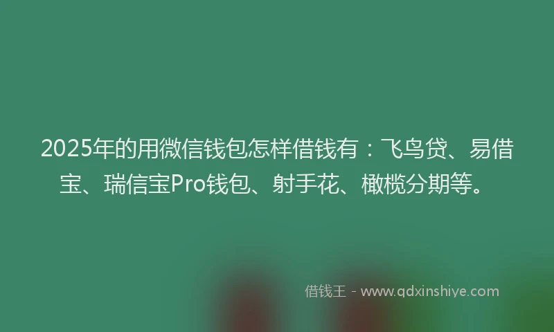 2025年的用微信钱包怎样借钱有：飞鸟贷、易借宝、瑞信宝Pro钱包、射手花、橄榄分期等。