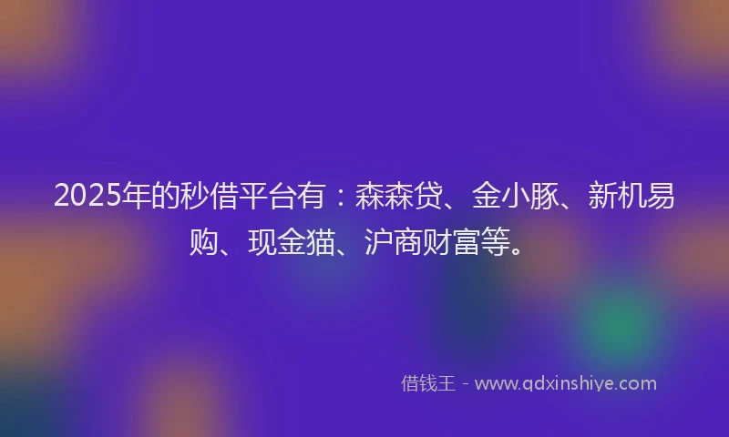 2025年的秒借平台有：森森贷、金小豚、新机易购、现金猫、沪商财富等。