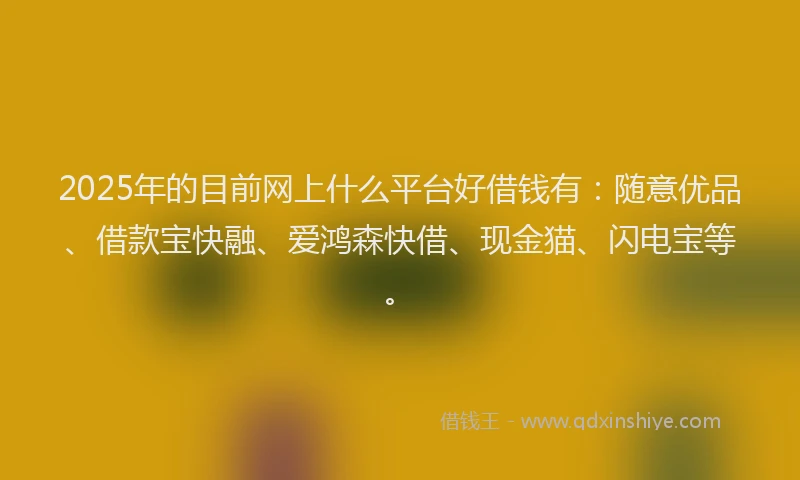 2025年的目前网上什么平台好借钱有：随意优品、借款宝快融、爱鸿森快借、现金猫、闪电宝等。