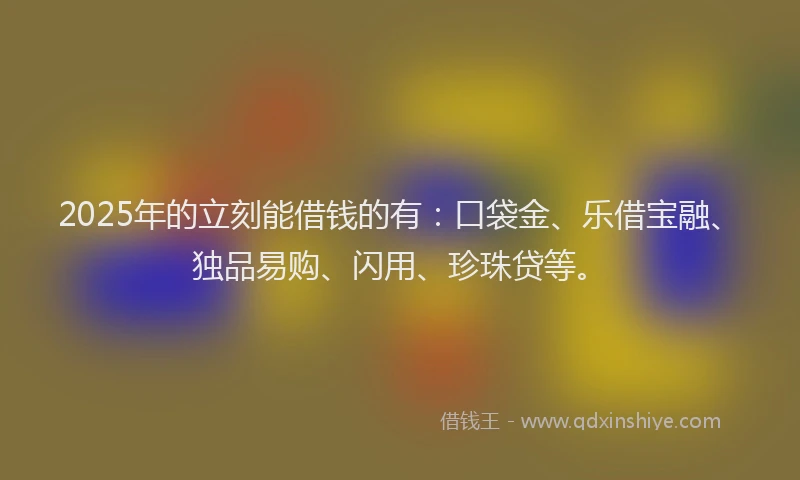 2025年的立刻能借钱的有：口袋金、乐借宝融、独品易购、闪用、珍珠贷等。