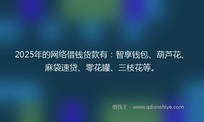 2025年的网络借钱货款有：智享钱包、葫芦花、麻袋速贷、零花罐、三枝花等。