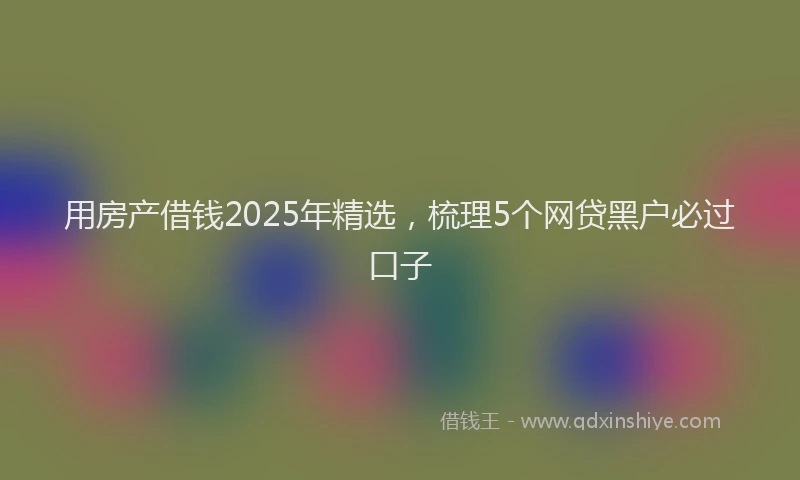 用房产借钱2025年精选，梳理5个网贷黑户必过口子