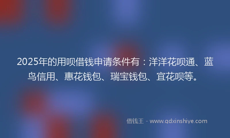 2025年的用呗借钱申请条件有：洋洋花呗通、蓝鸟信用、惠花钱包、瑞宝钱包、宜花呗等。