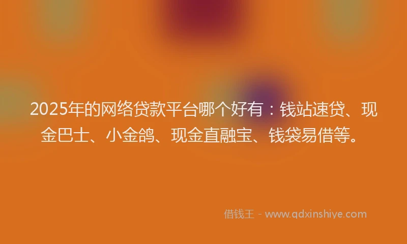 2025年的网络贷款平台哪个好有：钱站速贷、现金巴士、小金鸽、现金直融宝、钱袋易借等。