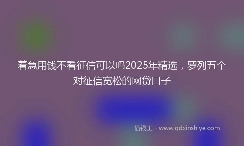 着急用钱不看征信可以吗2025年精选，罗列五个对征信宽松的网贷口子