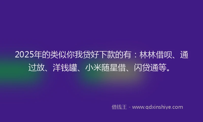 2025年的类似你我贷好下款的有：林林借呗、通过放、洋钱罐、小米随星借、闪贷通等。