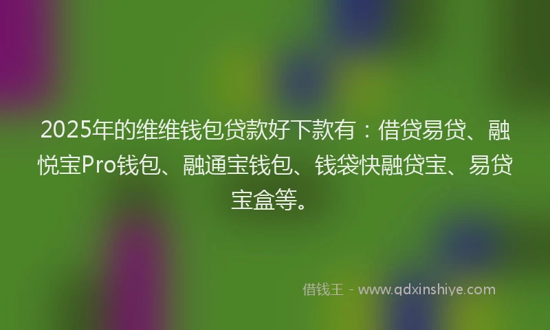 2025年的维维钱包贷款好下款有：借贷易贷、融悦宝Pro钱包、融通宝钱包、钱袋快融贷宝、易贷宝盒等。