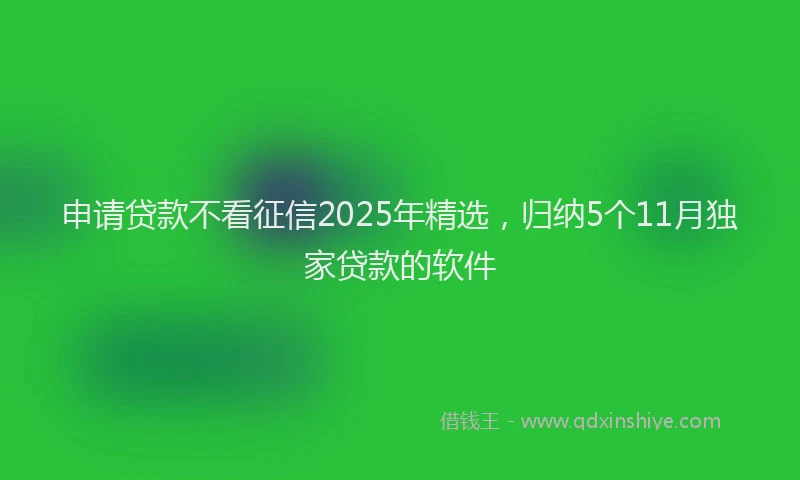 申请贷款不看征信2025年精选，归纳5个11月独家贷款的软件