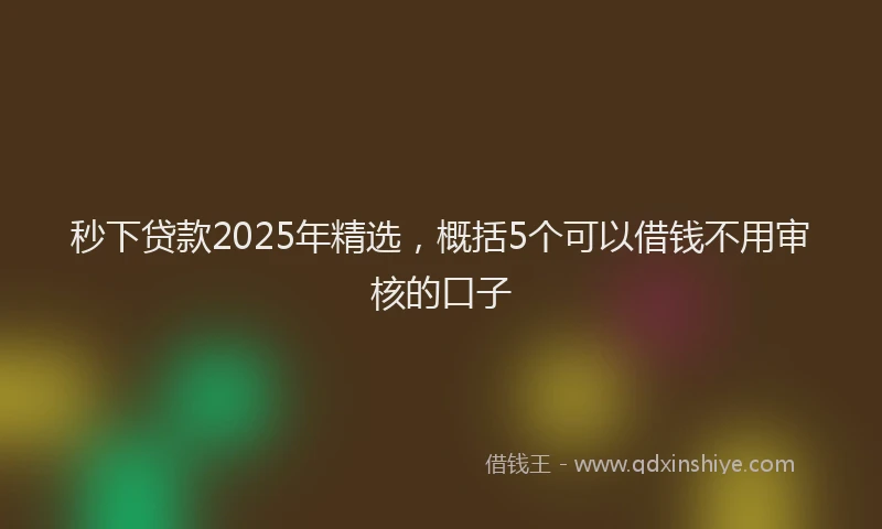 秒下贷款2025年精选，概括5个可以借钱不用审核的口子