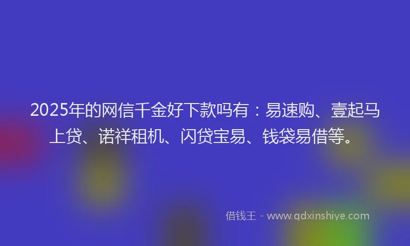 2025年的网信千金好下款吗有：易速购、壹起马上贷、诺祥租机、闪贷宝易、钱袋易借等。