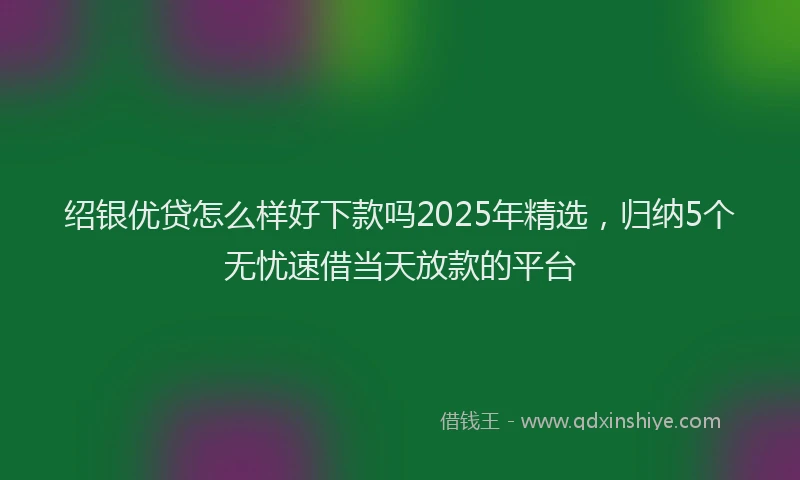 绍银优贷怎么样好下款吗2025年精选，归纳5个无忧速借当天放款的平台