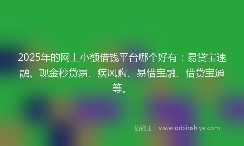 2025年的网上小额借钱平台哪个好有：易贷宝速融、现金秒贷易、疾风购、易借宝融、借贷宝通等。