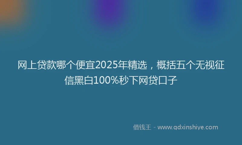 网上贷款哪个便宜2025年精选，概括五个无视征信黑白100%秒下网贷口子