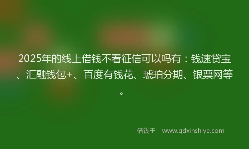 2025年的线上借钱不看征信可以吗有：钱速贷宝、汇融钱包+、百度有钱花、琥珀分期、银票网等。