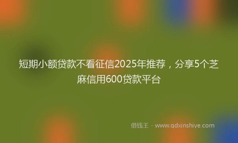 短期小额贷款不看征信2025年推荐，分享5个芝麻信用600贷款平台