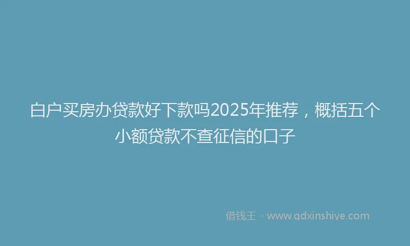 白户买房办贷款好下款吗2025年推荐，概括五个小额贷款不查征信的口子