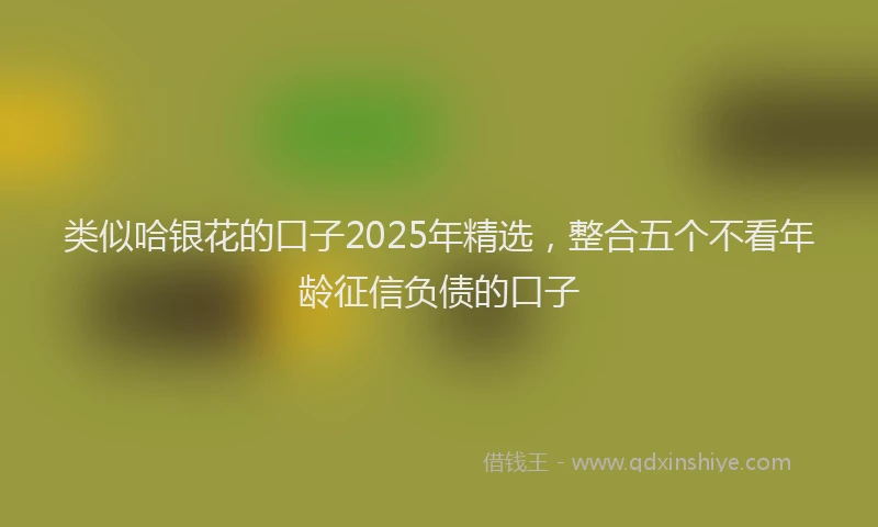 类似哈银花的口子2025年精选，整合五个不看年龄征信负债的口子