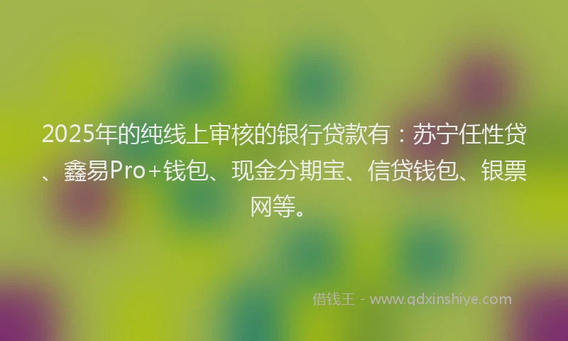 2025年的纯线上审核的银行贷款有：苏宁任性贷、鑫易Pro+钱包、现金分期宝、信贷钱包、银票网等。