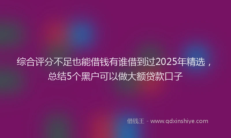 综合评分不足也能借钱有谁借到过2025年精选，总结5个黑户可以做大额贷款口子
