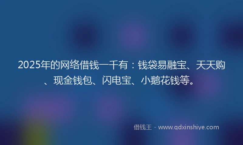 2025年的网络借钱一千有：钱袋易融宝、天天购、现金钱包、闪电宝、小鹅花钱等。