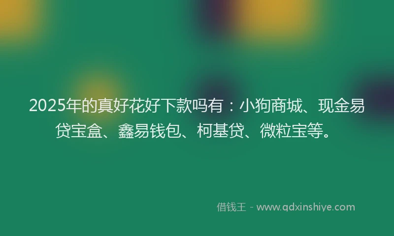 2025年的真好花好下款吗有：小狗商城、现金易贷宝盒、鑫易钱包、柯基贷、微粒宝等。