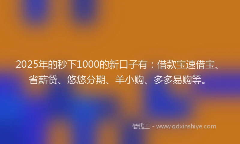 2025年的秒下1000的新口子有：借款宝速借宝、省薪贷、悠悠分期、羊小购、多多易购等。