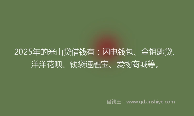 2025年的米山贷借钱有：闪电钱包、金钥匙贷、洋洋花呗、钱袋速融宝、爱物商城等。