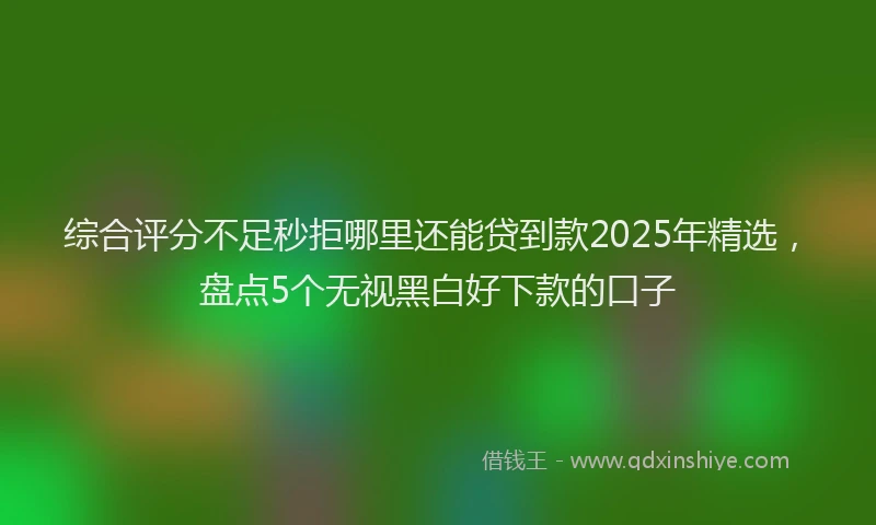 综合评分不足秒拒哪里还能贷到款2025年精选，盘点5个无视黑白好下款的口子