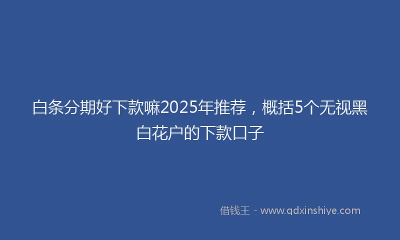 白条分期好下款嘛2025年推荐，概括5个无视黑白花户的下款口子
