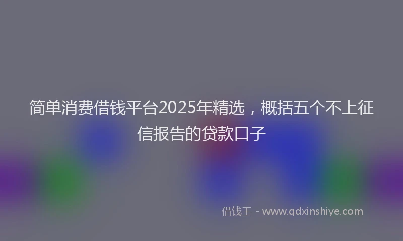 简单消费借钱平台2025年精选，概括五个不上征信报告的贷款口子