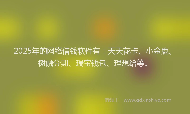 2025年的网络借钱软件有：天天花卡、小金鹿、树融分期、瑞宝钱包、理想给等。