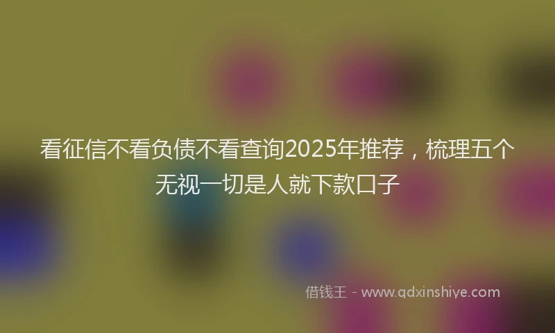 看征信不看负债不看查询2025年推荐，梳理五个无视一切是人就下款口子