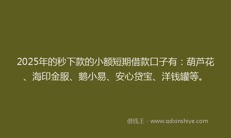 2025年的秒下款的小额短期借款口子有：葫芦花、海印金服、鹅小易、安心贷宝、洋钱罐等。