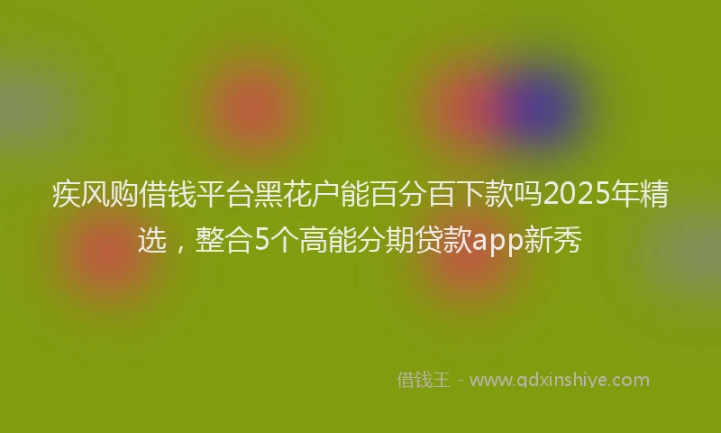 疾风购借钱平台黑花户能百分百下款吗2025年精选，整合5个高能分期贷款app新秀