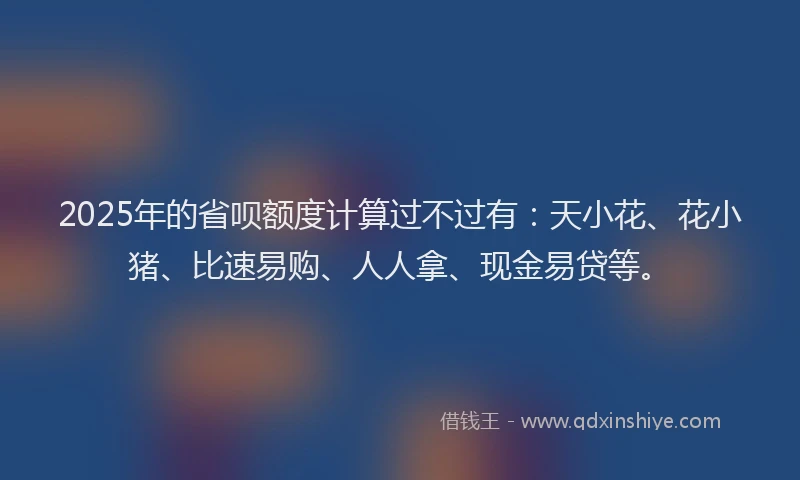 2025年的省呗额度计算过不过有：天小花、花小猪、比速易购、人人拿、现金易贷等。