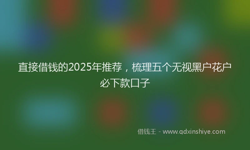 直接借钱的2025年推荐，梳理五个无视黑户花户必下款口子
