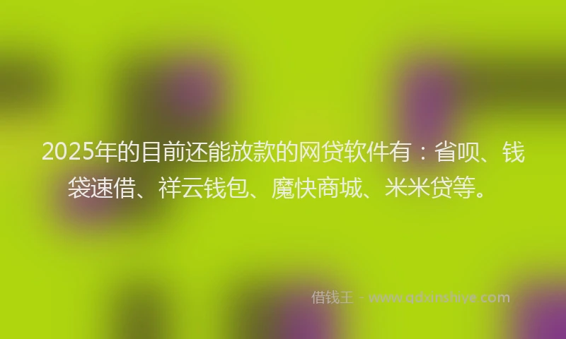 2025年的目前还能放款的网贷软件有：省呗、钱袋速借、祥云钱包、魔快商城、米米贷等。