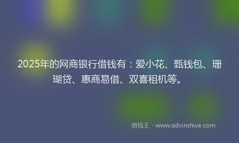 2025年的网商银行借钱有：爱小花、甄钱包、珊瑚贷、惠商易借、双喜租机等。