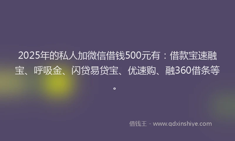 2025年的私人加微信借钱500元有：借款宝速融宝、呼吸金、闪贷易贷宝、优速购、融360借条等。