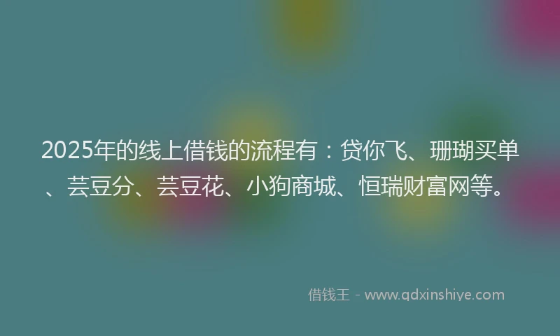 2025年的线上借钱的流程有：贷你飞、珊瑚买单、芸豆分、芸豆花、小狗商城、恒瑞财富网等。