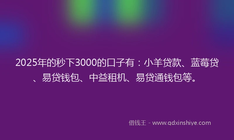 2025年的秒下3000的口子有：小羊贷款、蓝莓贷、易贷钱包、中益租机、易贷通钱包等。