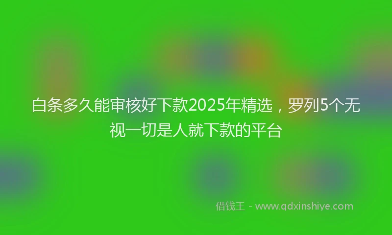 白条多久能审核好下款2025年精选，罗列5个无视一切是人就下款的平台