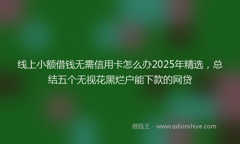 线上小额借钱无需信用卡怎么办2025年精选，总结五个无视花黑烂户能下款的网贷