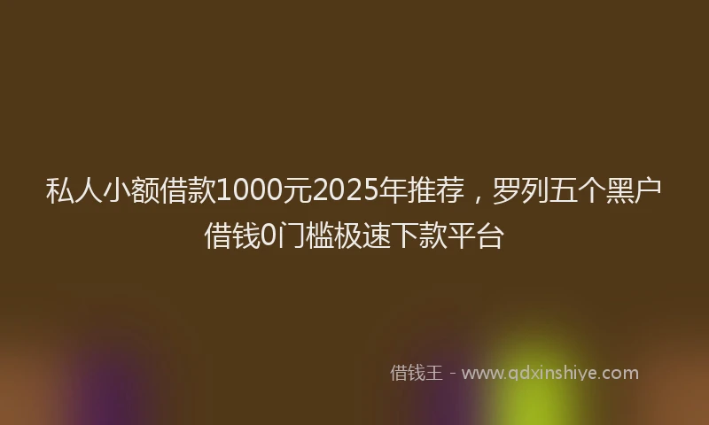 私人小额借款1000元2025年推荐，罗列五个黑户借钱0门槛极速下款平台