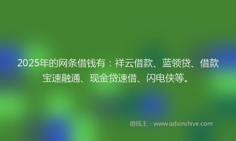 2025年的网条借钱有：祥云借款、蓝领贷、借款宝速融通、现金贷速借、闪电侠等。