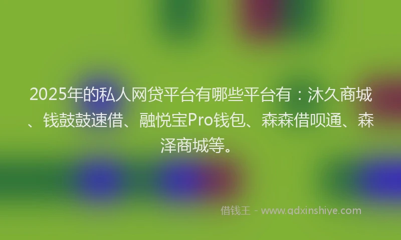 2025年的私人网贷平台有哪些平台有：沐久商城、钱鼓鼓速借、融悦宝Pro钱包、森森借呗通、森泽商城等。
